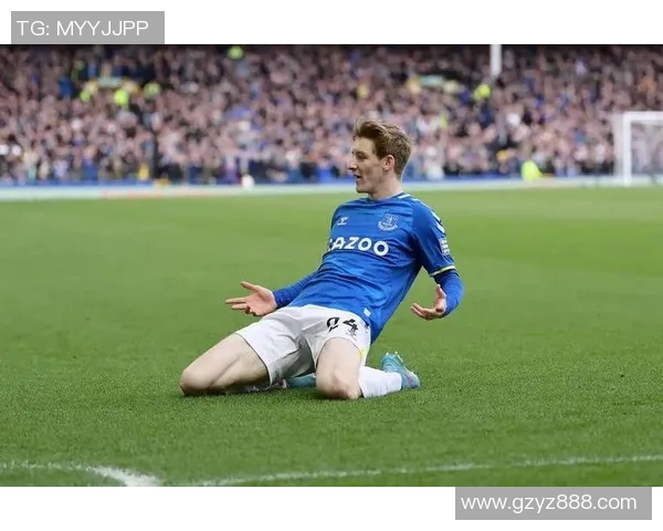 英超激战埃弗顿主场迎战加的夫城争夺宝贵积分