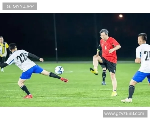 2017年纽伦堡与凯泽的对决分析及战术探讨