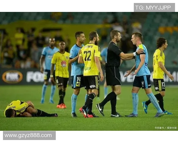 惠灵顿凤凰对阵墨尔本胜利赛前分析与胜负预测