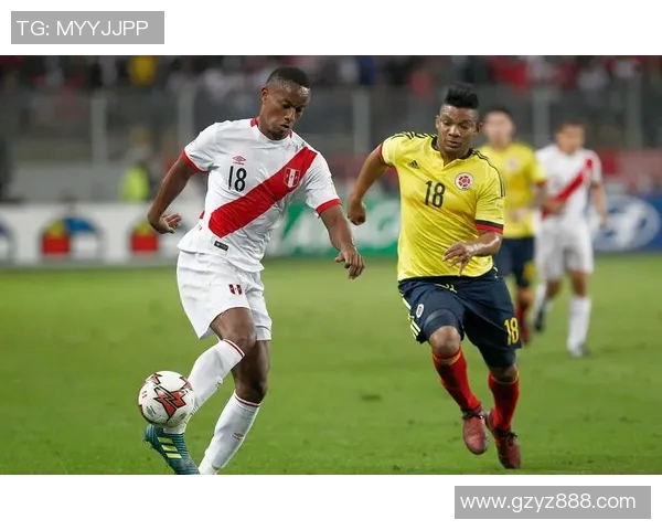 法国与秘鲁比赛全场数据分析与精彩回顾