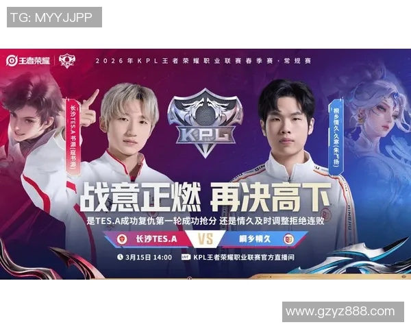 王者荣耀技术排名新突破WE战队创新高引发热议