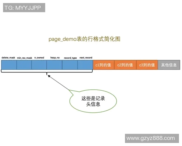 南京飞盘队战术表现深度数据分析与战术优化探讨