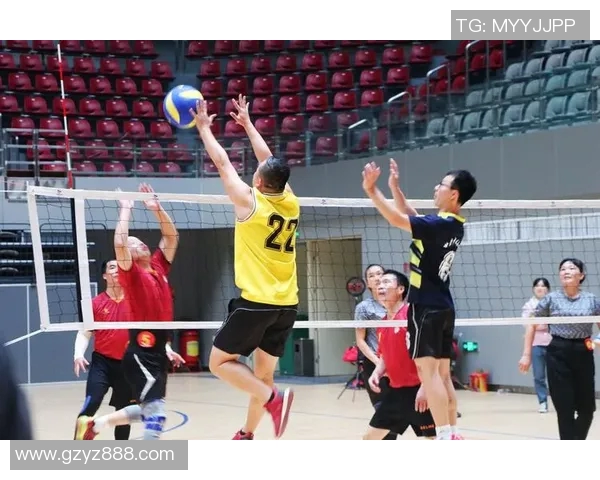 权威发布：2023年排球灵活性实力排行榜全面揭晓分析